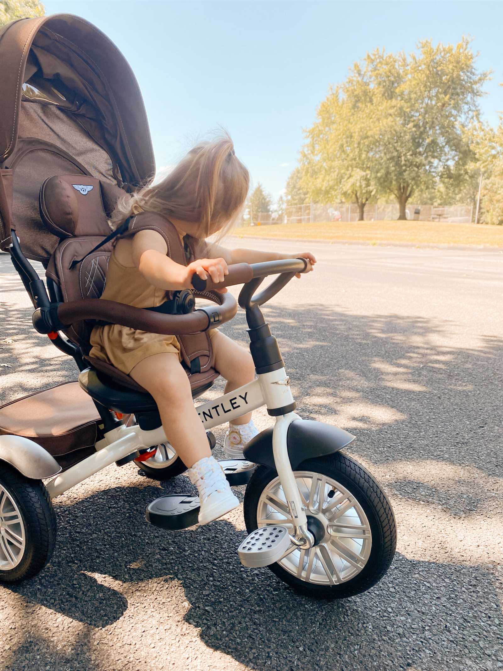bentley trike instruction manual