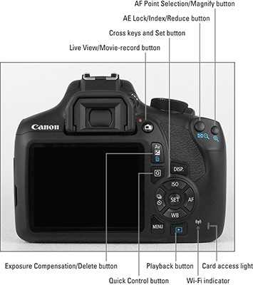 canon 2000d instruction manual