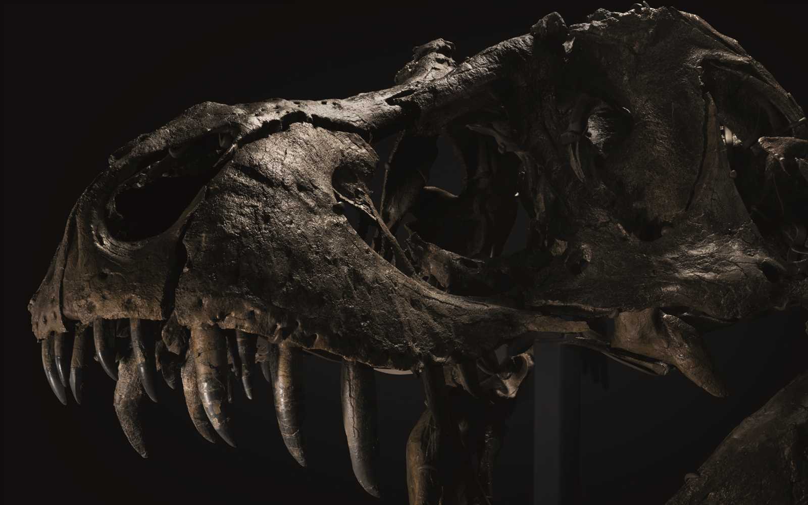 d rex interactive dinosaur instruction manual