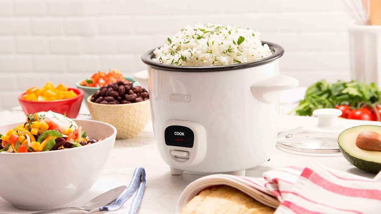 dash mini rice cooker instruction manual