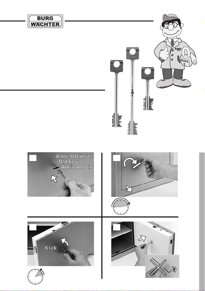 diplomat oven manual instructions