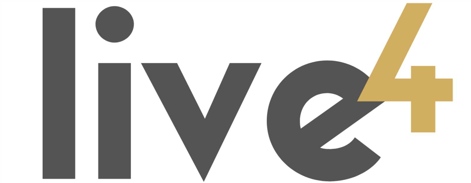 empi 300pv instruction manual