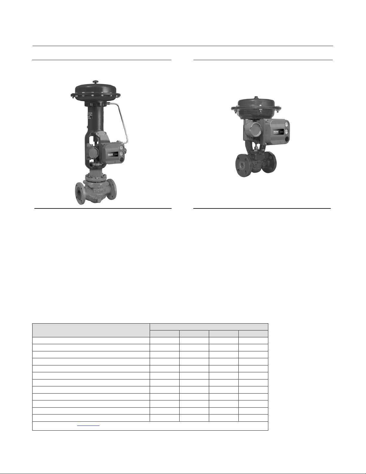 fisher v500 instruction manual