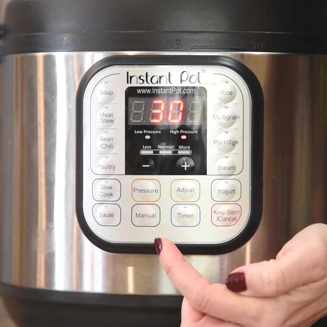 instant pot ip lux instruction manual