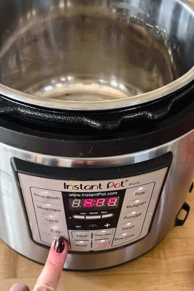 instant pot manual instructions