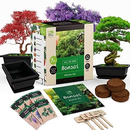 natures blossom bonsai instruction manual