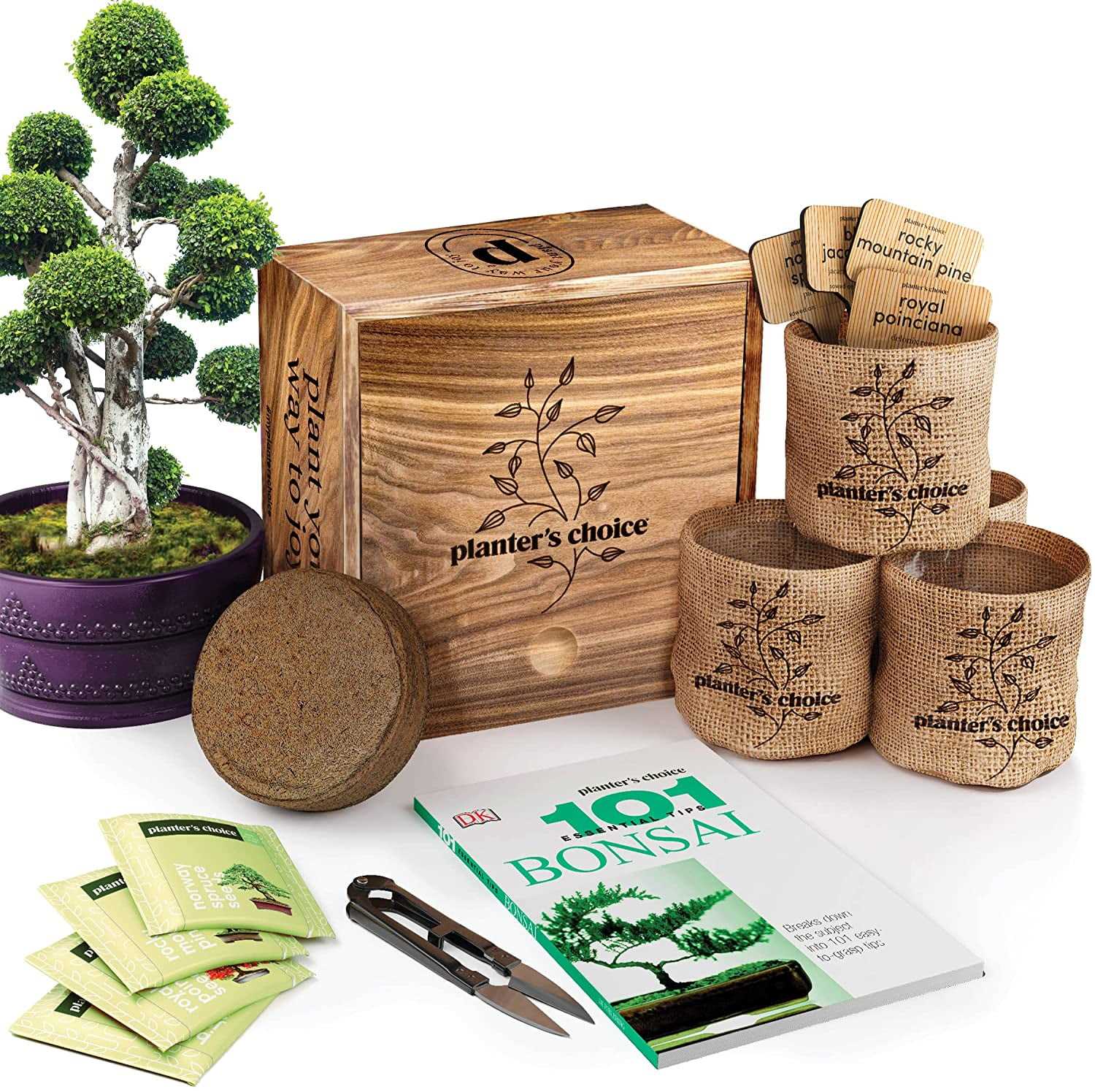 natures blossom bonsai instruction manual