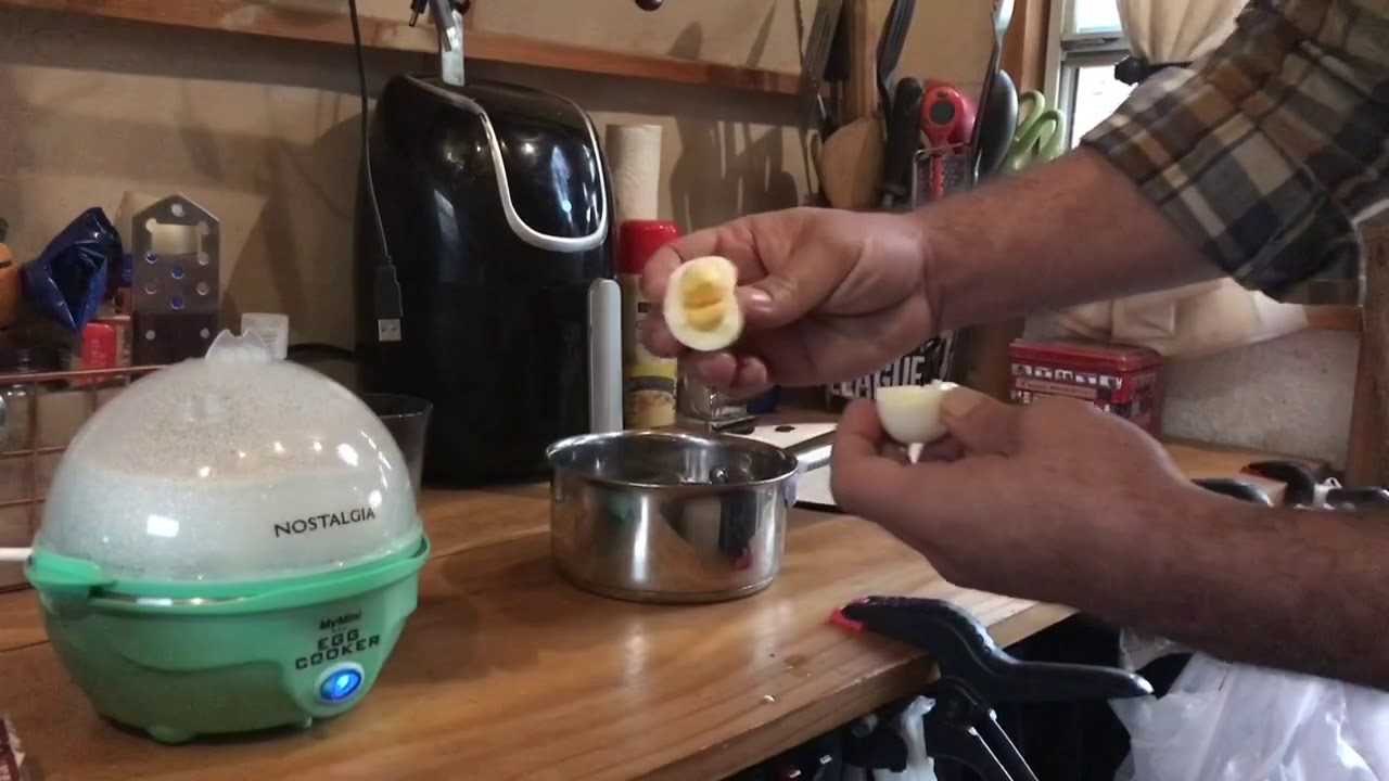 nostalgia egg cooker instruction manual