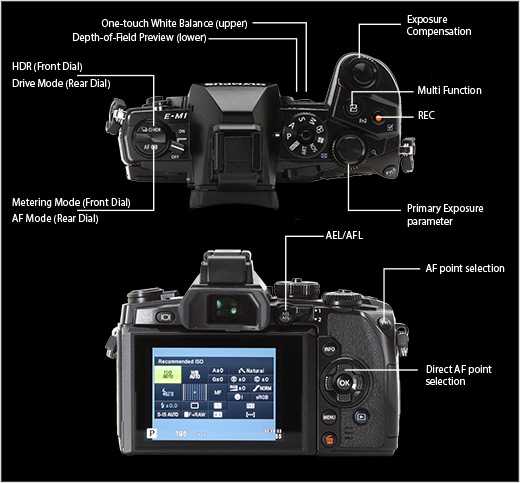 olympus omd em1 instruction manual