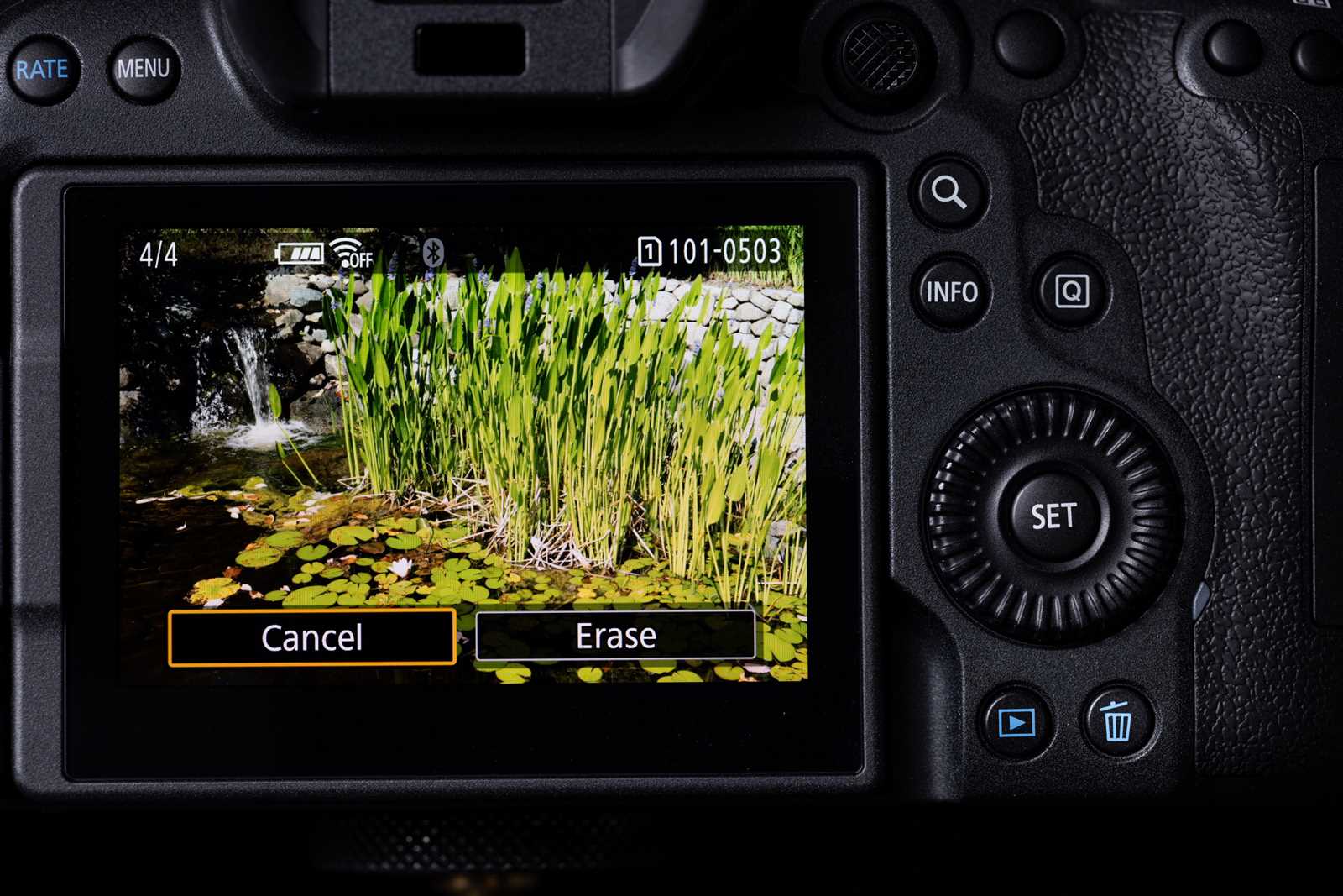 canon r6 mark ii instruction manual