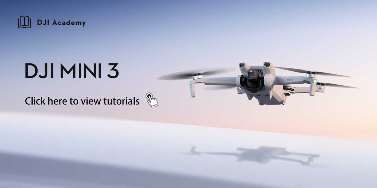 dji mavic air 2 instruction manual