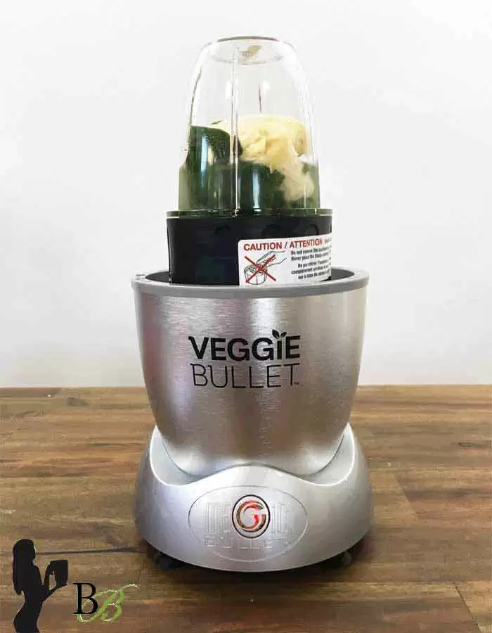 veggie bullet instruction manual