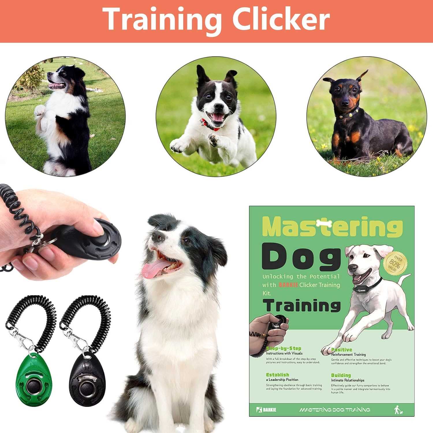 boost leash instructions manual