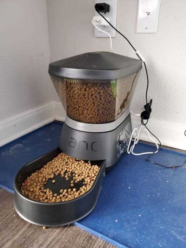 gamma2 nano automated pet feeder instruction manual