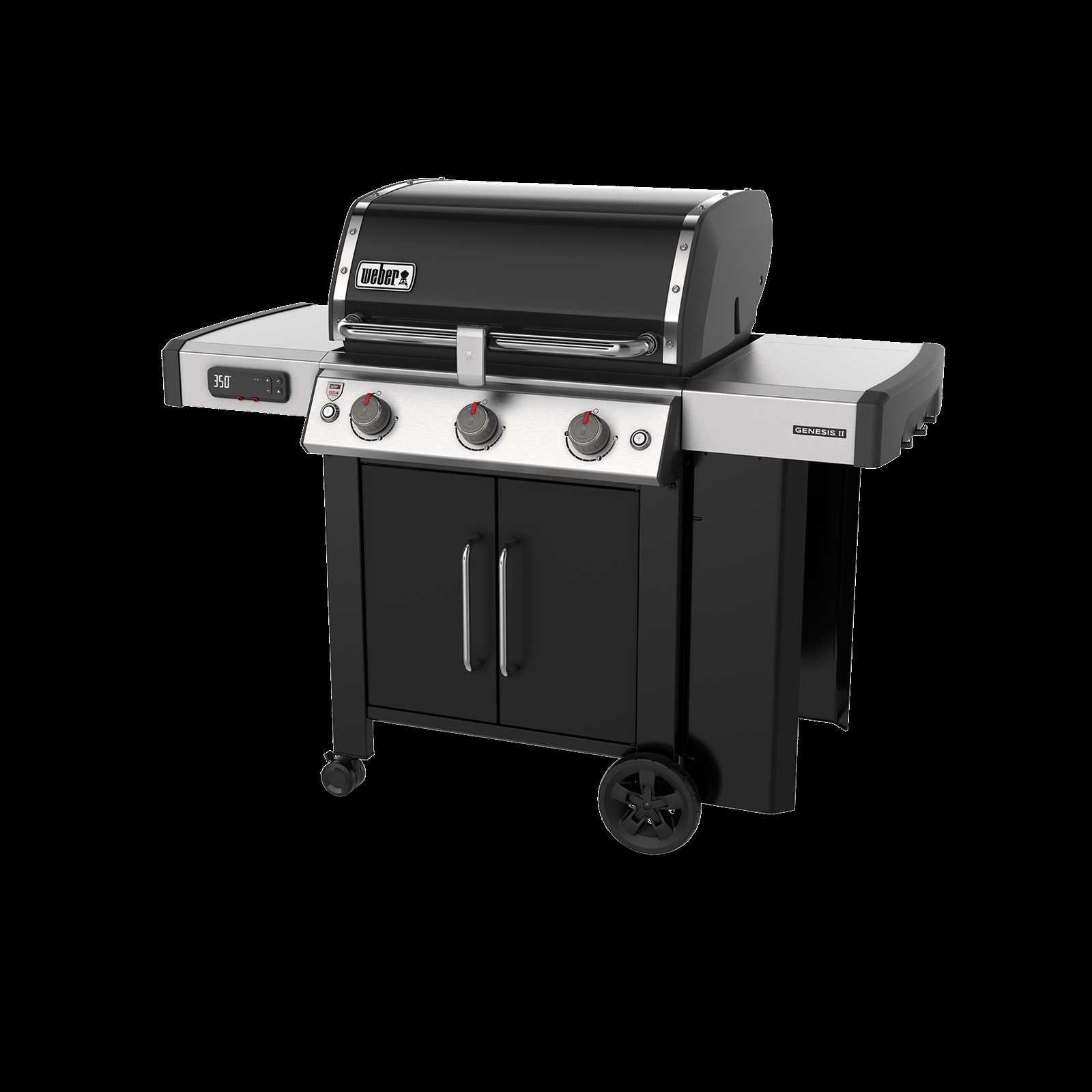 weber genesis 2 instruction manual
