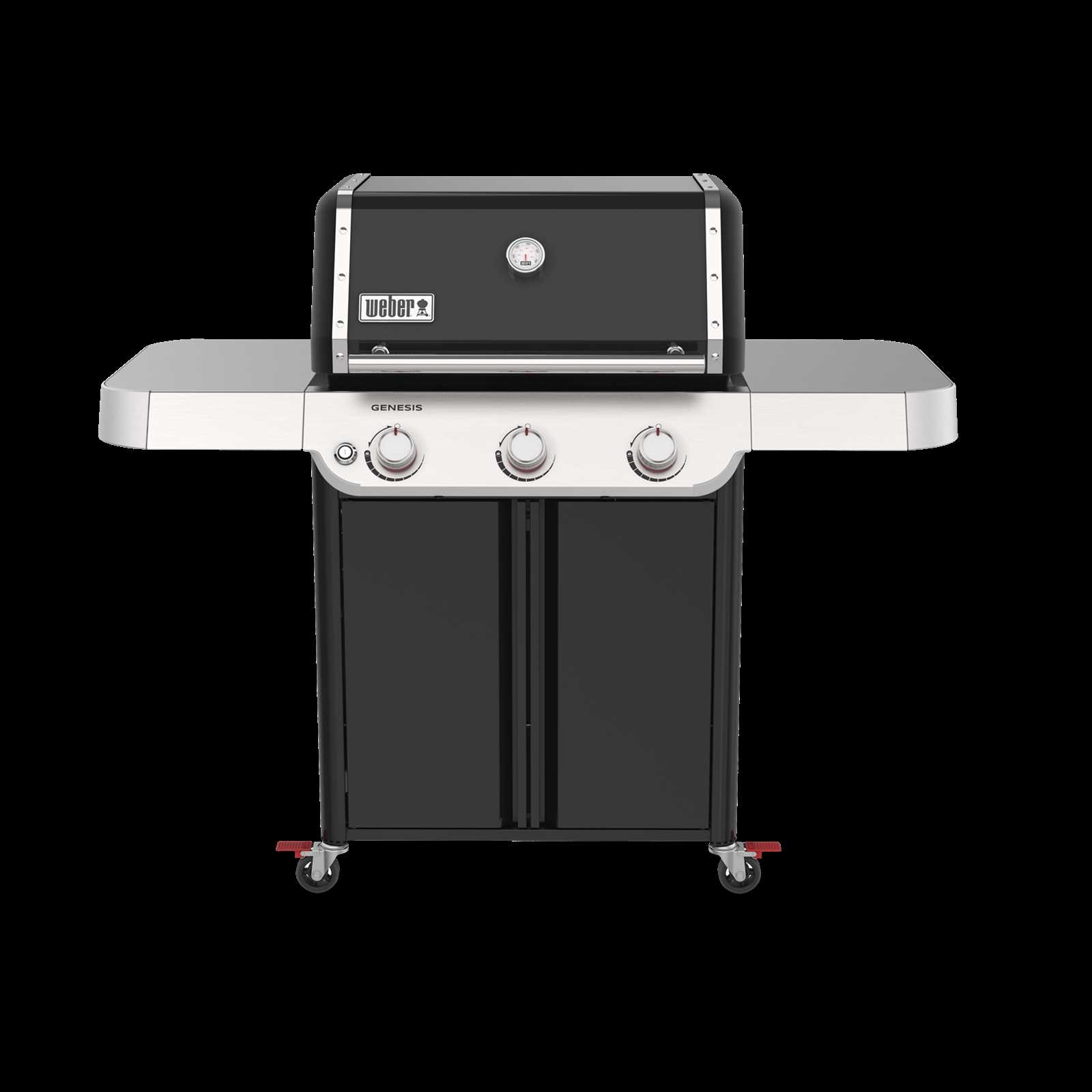 weber genesis 2 instruction manual