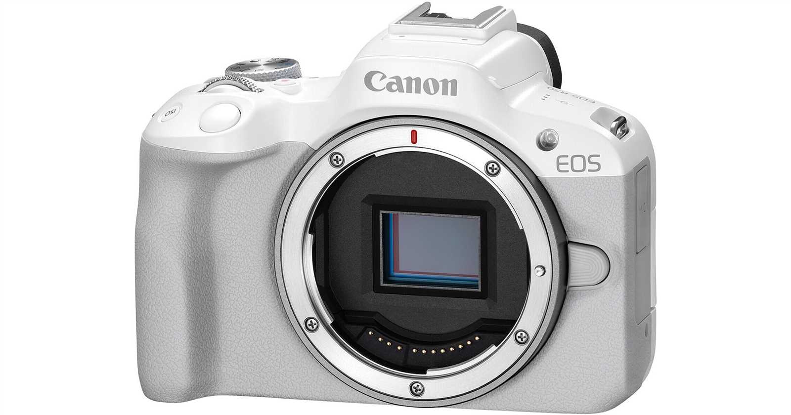 canon eos r50 instruction manual