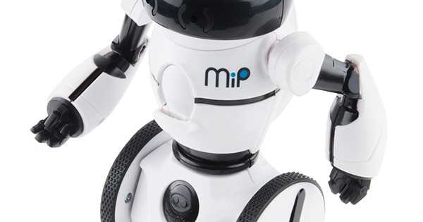 mip robot instruction manual