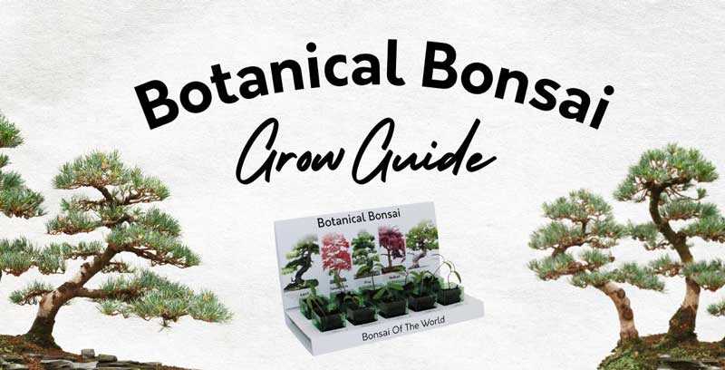 natures blossom bonsai instruction manual