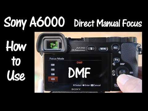 sony a6000 instruction manual