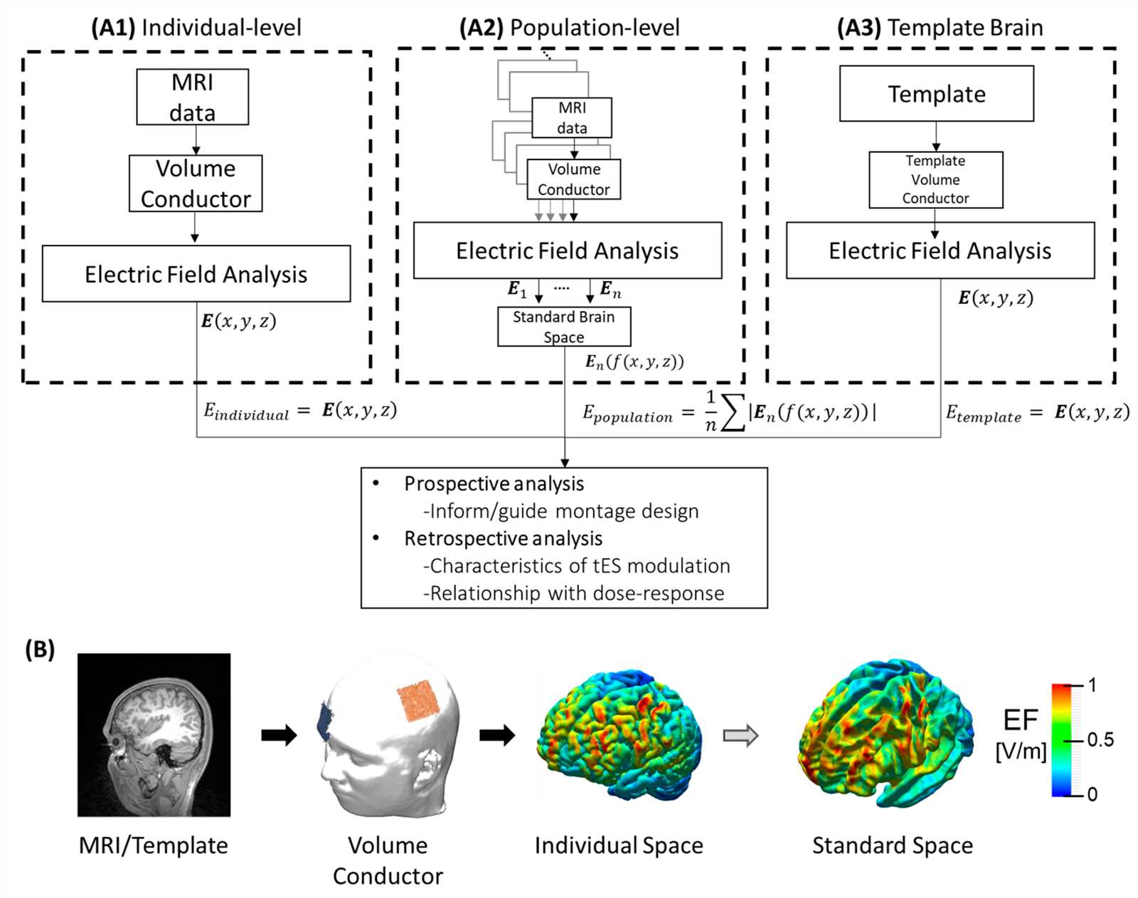 brain warp instruction manual