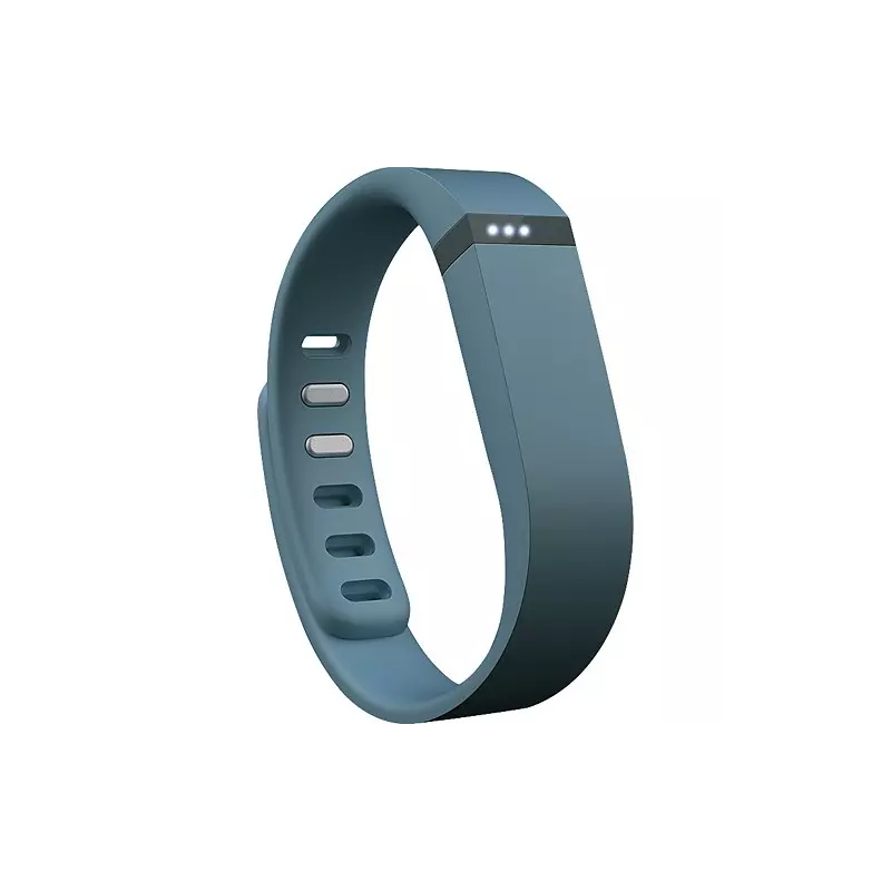 fitbit com instruction manual