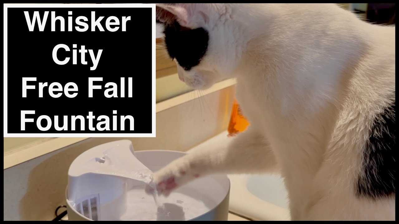 whisker city pet fountain instruction manual