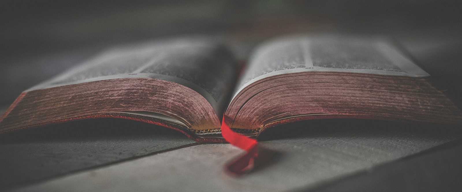 read and understand instruction manual