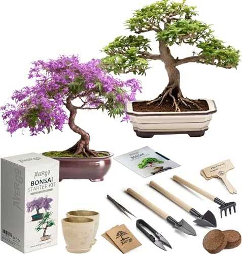 natures blossom bonsai instruction manual