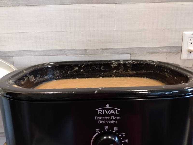 rival 20 quart roaster oven instruction manual