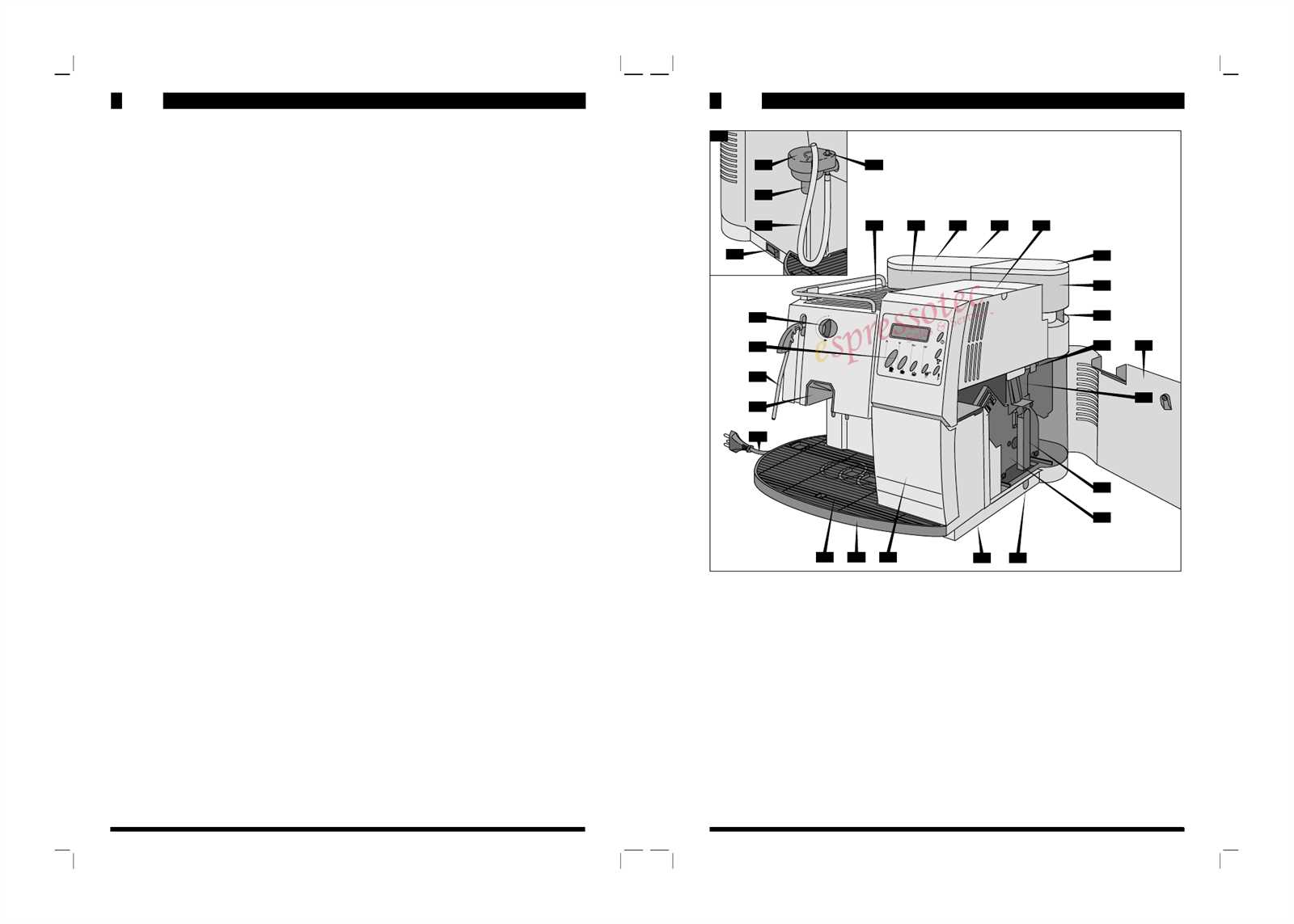 saeco royal manual instruction