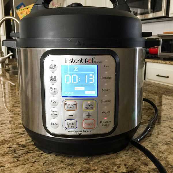 instant pot mini instruction manual