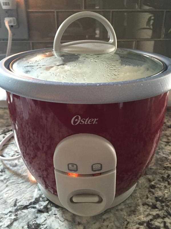 dash mini rice cooker instruction manual