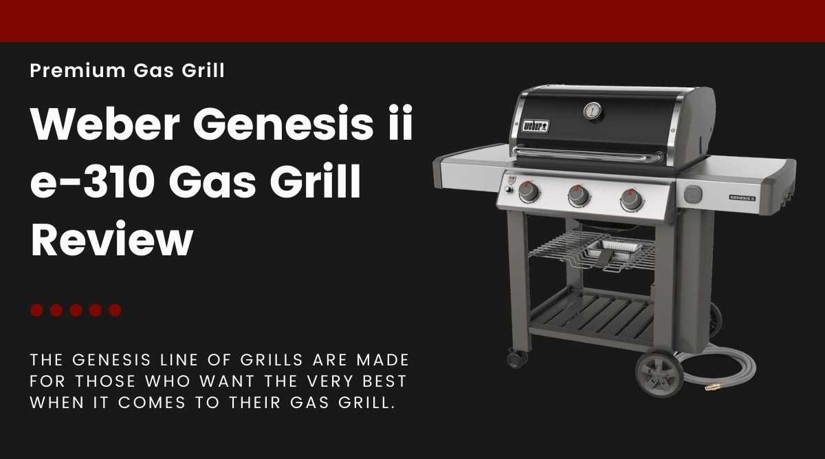 weber genesis ii e 310 instruction manual