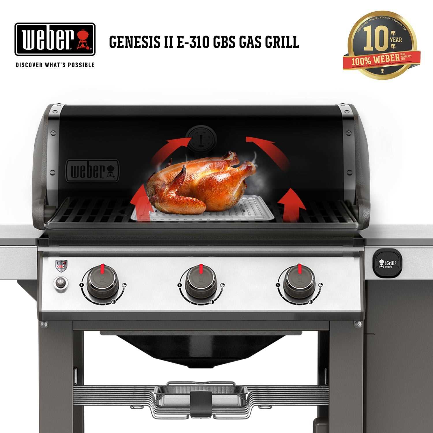 weber genesis ii e 310 instruction manual