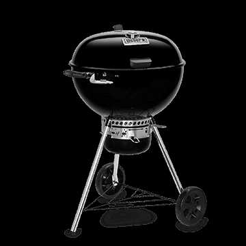 weber genesis ii e 310 instruction manual