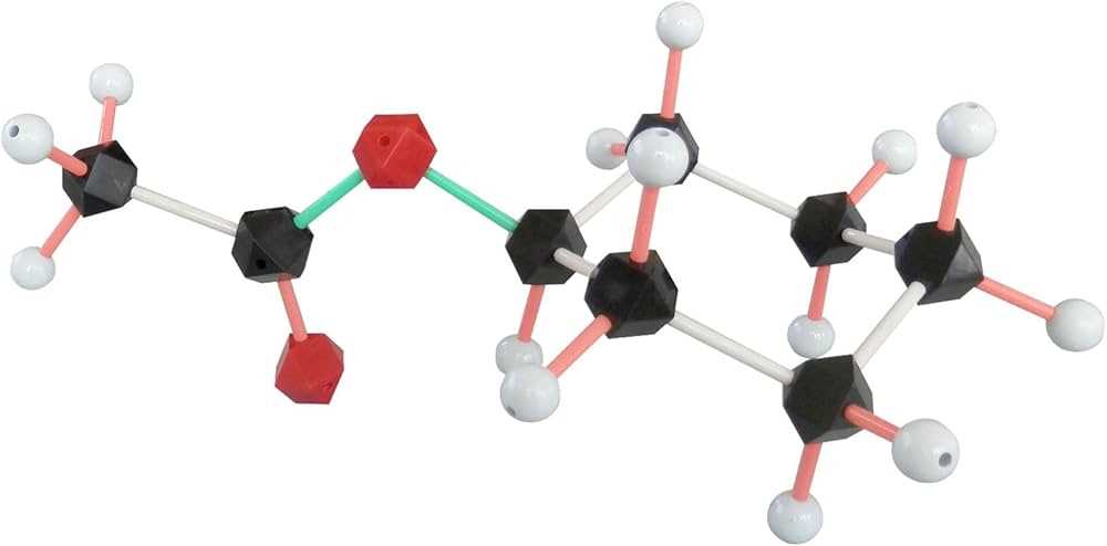 hgs molecular structure model kit instruction manual