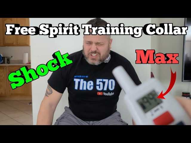 free spirit shock collar instruction manual